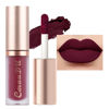 Picture of evpct 6Pcs Plum Purple Silky Velvet Matte Liquid Lipstick Lip Gloss Set for Women Long Lasting 24 Hours Color Stay Lipstick labiales matte larga duracion mate 24 horas originales 07#