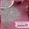 Picture of 5000PCS 3mm Resin Rhinestones in Bulk (Silver), Bedazzling Flatback Crystals for Crafts DIY Nail Decoration, Gems Charms for Tumbler Shoes Clothing Fabric with Pickup Pen and Tweezers