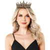 Picture of Black Crown for Women Crystal Princess Tiaras Rhinestone Queen Crowns Wedding Bridal Hair Accessories Birthday Prom Pageant Party Coming of Age Ceremony Photo Props (Black2)