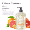 Picture of A LA MAISON French Liquid Hand Soap, Citrus Blossom - Natural Hand Wash Made with Essential Oils - Biodegradable, Plant-Based, Vegan, Cruelty-Free, Alcohol & Paraben Free (16.9 oz, 2 Pack)