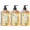 Picture of A LA MAISON French Liquid Hand Soap, Provence Lemon - Natural Hand Wash Made with Essential Oils - Biodegradable, Plant-Based, Vegan, Cruelty-Free, Alcohol & Paraben Free (16.9 oz, 3 Pack)
