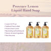 Picture of A LA MAISON French Liquid Hand Soap, Provence Lemon - Natural Hand Wash Made with Essential Oils - Biodegradable, Plant-Based, Vegan, Cruelty-Free, Alcohol & Paraben Free (16.9 oz, 3 Pack)