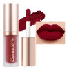 Picture of evpct 1Pcs Dark Sexy Red Matte Liquid Lipstick Lip Gloss Glossy Set for Black Women 24 Hour Silky Velvet Lipstick labiales matte larga duracion mate 24 horas originales 06#