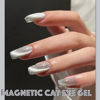 Picture of AHAMIOU Crystal Cat Eye Gel Polish Kits Magnetic Nail Polish Set Holographic Cats Eyes Gel Nail Polish Shiny Diamond Glitter Gel with Magnet Stick (2PCS-silver&pink)
