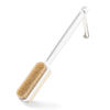 Picture of MainBasics Back Scrubber for Shower - Long Handle Dual-Sided Brush for Body Wash & Scrubbing with Exfoliating & Soft Bristles (White, Plastic)