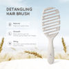 Picture of Ecoed Hair Brush, Vented Detangling Brush for Curly, Thick, and Straight Hair - Gently Detangles and Smooths hair - Works on Wet or Dry Hair - Eco-Friendly and Biodegradable - Unisex
