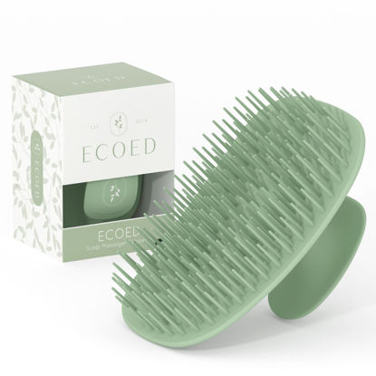 Picture of ecoed Scalp Massager Shampoo Brush,Scalp Scrubber for Dandruff Removal, Scalp Care Hair Brush Wet & Dry detangler for Men and Women.Suitable for Short Medium Hair(Green)