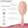 Picture of Framar Detangling Brush for Curly Hair - Hair Brushes for Women Detangler, Hair Brush Women, Hair Detangler Brush for Curly Hair Elegant Hair Brush Detangler Kids Hair Brush