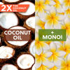 Picture of Palmer's Coconut Oil Formula Moisture Boost Hair bundle (Scalp Oil & Leave-In Conditioner)