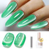 Picture of Double Rhythm Jelly Glass Cat Eye Gel Polish with Magnet 15ML Holographic Glitter Shimmer Translucent Sheer Color Magnetic Nail Polish Salon DIY at Home (Spring Green-MC1067)