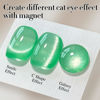 Picture of Double Rhythm Jelly Glass Cat Eye Gel Polish with Magnet 15ML Holographic Glitter Shimmer Translucent Sheer Color Magnetic Nail Polish Salon DIY at Home (Spring Green-MC1067)