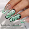 Picture of Double Rhythm Jelly Glass Cat Eye Gel Polish with Magnet 15ML Holographic Glitter Shimmer Translucent Sheer Color Magnetic Nail Polish Salon DIY at Home (Spring Green-MC1067)