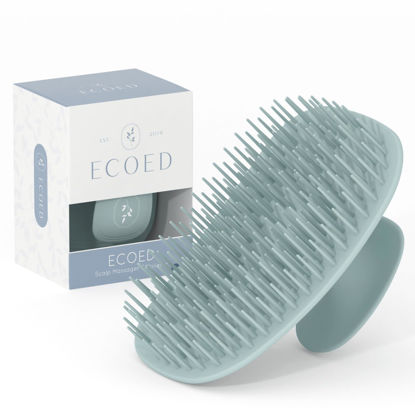 Picture of ecoed Scalp Massager Shampoo Brush, Scalp Scrubber & Exfoliator for Dandruff Removal, Wet & Dry Dandruff Comb and Detangler for Men and Women, Suitable for Short Medium Hair (Blue)