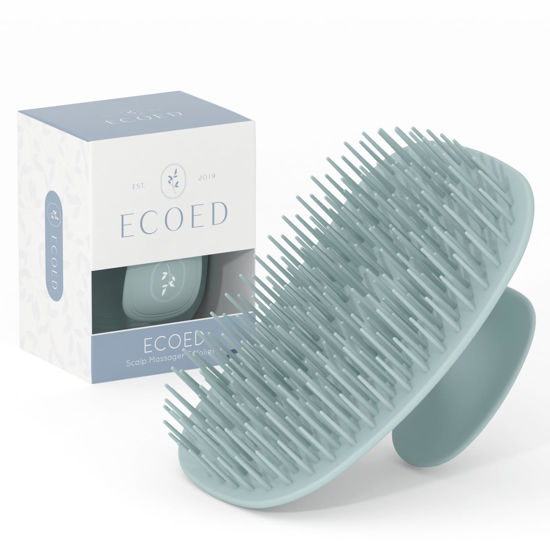 Picture of ecoed Scalp Massager Shampoo Brush, Scalp Scrubber & Exfoliator for Dandruff Removal, Wet & Dry Dandruff Comb and Detangler for Men and Women, Suitable for Short Medium Hair (Blue)