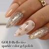 Picture of Double Rhythm 15ML Glitter Gel Polish Shimmer Reflective Holographic Color Magnetic for Nail Art Salon DIY at Home (B1117)