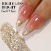 Picture of Double Rhythm 15ML Glitter Gel Polish Shimmer Reflective Holographic Color Magnetic for Nail Art Salon DIY at Home (B1117)