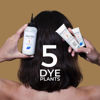 Picture of PHYTO Phytocolor Permanent Hair Color, 4.77 Intense Chestnut Brown, with Botanical Pigments, 100% Grey Hair Coverage, Ammonia-free, PPD-free, Resorcin-free, 0.42 oz.