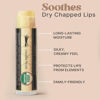 Picture of USDA Organic Lip Balm - USA Made & All Natural, Beeswax Vanilla Chapstick for Dry Lips, Valentines Day Gifts for Women, Birthday Gifts for Her & Him, Hydrating Lip Balm Beauty Gifts, Natural Chapstick