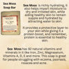 Picture of Sea Moss Soap 2 bars| Handmade| For All Skin Types Acne, Eczema, Psoriasis | Shea Butter, All Natural, Body and Face, Dr. Sebi Inspired, Vegan, Gluten Free, Men & Women, Moisturizing, Essential Oils