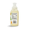 Picture of 365 by Whole Foods Market, Hand Soap Foaming Satsuma Eucalyptus, 12 Fl Oz