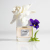 Picture of OUAI Rue St. Honore Eau de Parfum - Elegant Womens Perfume for Everyday Wear - Fresh Floral Scent with Notes of Violet, Gardenia, and Delicate Hints of Ylang Ylang and Musk (1.7 Oz)