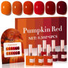 Picture of Double Rhythm 6 Pcs 15 ML Gel Polish Set Same Color Same Bottle Soak Off Gel Polish Kit Nail Art Manicure Salon DIY at Home for Women (Dark Light Brown Orange Maroon-T6-6)