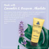 Picture of The Naked Bee Lavender & Beeswax Absolute Hand and Body Lotion, 6.7oz - 2 Pack