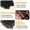 Picture of Aksice 12 Inch Yanky Twist Crochet Hair Pre-looped 8 Packs Mini Passion Twist Crochet Hair with Curly Ends Synthetic Crochet Braids Plus Yanky Twist for Black Women (12 Inch, 8 Packs,1B#)