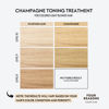 Picture of Four Reasons Color Mask - Champagne Blonde - (27 Colors) Toning Treatment, Color Depositing Conditioner, Tone & Enhance Color-Treated Hair - Semi Permanent Hair Dye, Vegan and Cruelty-Free, 6.76 fl oz