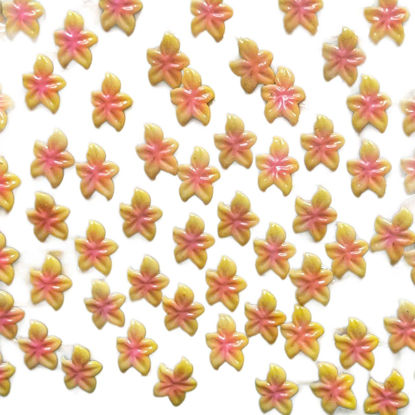 Picture of Set 10Pcs Gel 3D Yellow Pink Orchid Flowers Nails Charms Handmade by Gel, Design For Medium & Long Nail 3D Flower For Nail Art Floral Salon Decor For Women Girls (Yellow Pink Orchid Medium 10Pcs)