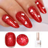 Picture of Double Rhythm 15ML Glitter Gel Polish Shimmer Reflective Holographic Color Magnetic for Nail Art Salon DIY at Home (B1127)