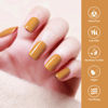Picture of VENALISA Orange Gel Nail Polish 1 Pcs Pumpkin Orange Color Fall Gel Polish Soak Off Halloween Gel Colors DIY at Home Manicure Salon Nail Art For Girls Women
