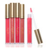 Picture of Nicole Miller Lip Gloss Collection Shimmery Glosses for Women and Girls Long Lasting Color Set with Rich Varied Colors, Silver City, 5 Count (Pack of 1)
