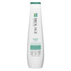 Picture of Biolage Scalp Sync Clarifying Shampoo | Removes Residue, Buildup & Excess Oil | Paraben & Silicone Free | For Oily Hair & Scalp | Vegan | Clarifying Salon Shampoo