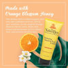 Picture of The Naked Bee Orange Blossom Honey Hand and Body Lotion, 6.7oz - 2 Pack