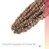 Picture of The BOHOBABE Crochet Passion Twist Hair Pretwisted 12 Inch Short Pre-looped Passion Twist Crochet Braiding Hair 8 Packs(27#)