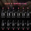 Picture of Ranrose Long Almond Nail Tips: 240pcs Nail Tips Full Cover Almond False Nail 12 Sizes Half Matte Pre-shape Acrylic Almond Shaped Press On Nail Tips DIY Nail Salon