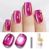 Picture of Double Rhythm Jelly Glass Cat Eye Gel Polish with Magnet 15ML Holographic Glitter Shimmer Translucent Sheer Color Magnetic Nail Polish Salon DIY at Home (Jelly Violet-MC1119)