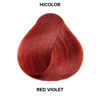 Picture of L'Oréal Technique HiColor Violet & Blacks Permanent Hair Color | Anti-Breakage Ceramide R Complex | Multi-Lift with No Brassiness | For Dark Bases | Long Lasting Color | Red Violet