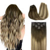 Picture of DOORES Remy Hair Extensions Clip in Balayage Walnut Brown to Ash Brown and Bleach Blonde 120g 7pcs 14 Inch Clip in Human Hair Extensions Real Hair Extensions Natural Straight