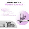 Picture of WONSIS Individual Lashes, Lash Clusters, 280 Pcs 30D Individual Lash Extensions, Natural Soft Lightweight Reusable DIY Eyelash Extensions, Thickness 0.07mm C Curl False Eyelashes (30D 8-16mm)…