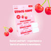 Picture of Space Camp Wellness Jumbo Lip Balm - Wild Cherry Organic Flavored Balm (2 Pack)