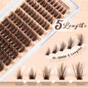 Picture of Focipeysa Brown Lash Clusters Fluffy Eyelash Clusters 10-18mm D Curl Eyelash Extension Volume Cluster 80D Individual Eyelash DIY Lash Extension for Beginners