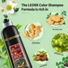 Picture of leorx Instant Hair Dye Shampoo For Gray Hair, 500ml - 3 In 1 Herbal Coloring For Women & Men - Dark Brown Color, Ammonia Free - Tintes Para El Cabello Profesional