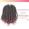 Picture of The BOHOBABE Pre-twisted Passion Twist Crochet Hair 10 Inch Short Pre-looped Crochet Passion Twist Braiding Hair 2 Packs (T350)