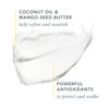 Picture of Beekman 1802 Sunshine Lemon Whipped Body Cream - Scented - 8 oz - Moisturizes, Soothes, & Softens - With Coconut Oil and Mango Seed Butter - No Irritation - Good for Sensitive Skin