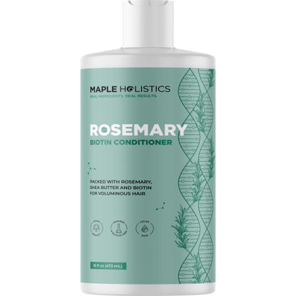 Picture of Biotin Rosemary Conditioner for Hair Growth - Vegan Sulfate Free Rosemary Biotin Conditioner for Hair Growth with Moisturizing & Volumizing Rosemary Essential Oil for Fine Weak & Dull Hair (16 Fl Oz)