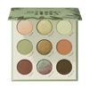 Picture of ColourPop Sage the Day Shadow Palette - Sage & Olive Palette with Metallic and Matte Finishes - High-Pigment Makeup with a Long-Wearing Formula (0.3 oz)