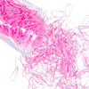 Picture of Teenitor Hair Bands, Rubber Elastics, 300pcs, Pink