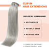 Picture of Silver Clip in Hair Extensions Real Human Hair 70G Gray Remy Human Hair Clip in Extensions 18 Inch Soft Silky Straight for Full Head 7pcs 16clips One Pack (18 Inch #Silky/Gray)